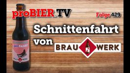 Schnittenfahrt von Brauwerk Wien | proBIER.TV – Craft Beer Review #429 [4K]