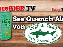 3 Bierstile – 1 Dose – Sea Quench Ale von Dogfishhead