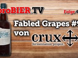 Fabled Grapes #9 von Crux | proBIER.TV – Craft Beer Review #402 [4K]