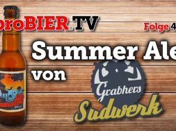 Summer Ale von Grabhers | proBIER.TV – Craft Beer Review #437 [4K]