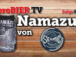 Namazu von Seismic Brewing | proBIER.TV – Craft Beer Review #848 [4K]