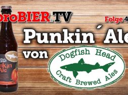 Punkin´ Ale von Dogfishhead | proBIER.TV – Craft Beer Review #408 [4K]