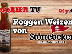 Roggen Weizen von Störtebeker | proBIER.TV – Craft Beer Review #425 [4K]