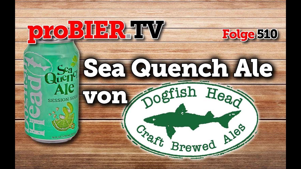 Sea Quench Ale von Dogfishhead | proBIER.TV – Craft Beer Review #510 [4K]