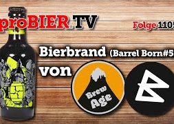 Barrel Born Bierbrand #5 von Brauwerk / Brew Age | proBIER.TV – Craft Beer Review #1105 [4K]