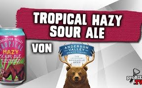 Tropical Hazy Sour Ale von Anderson Valley Brewing | Craft Bier Verkostung #2303