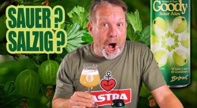 Dieses polnische Gose schmeckt nach tropischen Früchten | Browar Birbant 🍈🧂